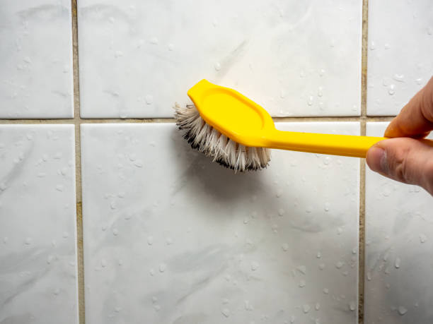 Best White Mold Remediation in Whitmore Lake, MI