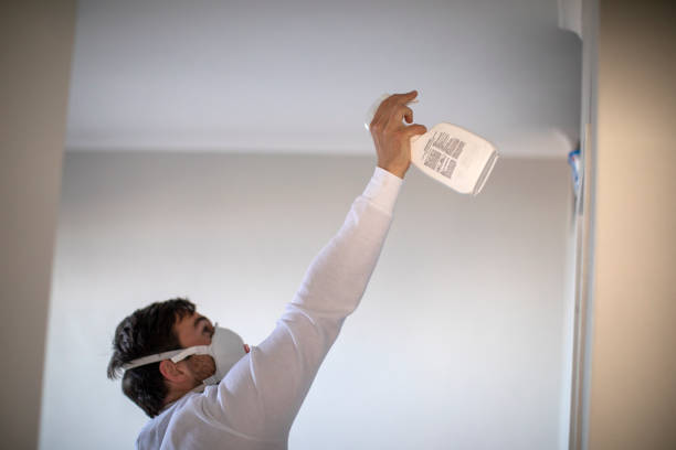 Best Post-Remediation Services in Whitmore Lake, MI
