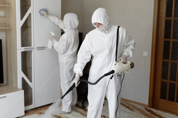 Best HVAC Mold Remediation in Whitmore Lake, MI