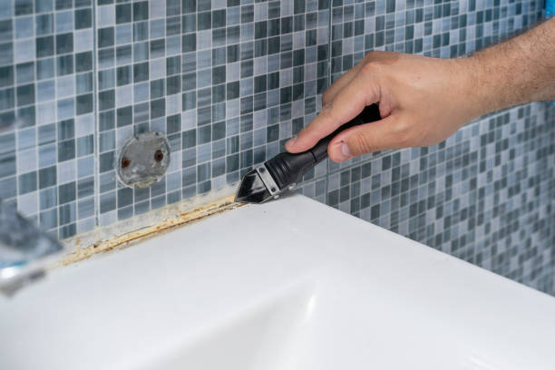 Best Insurance-Related Mold Remediation in Whitmore Lake, MI